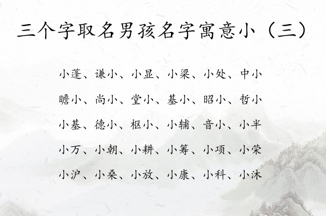 三个字取名男孩名字寓意小 带小的小男孩名字