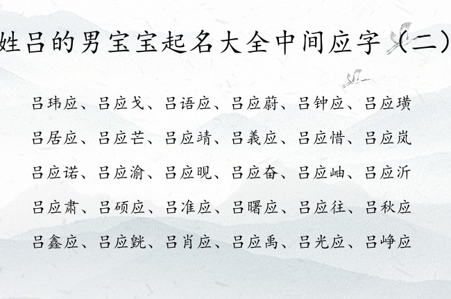 姓吕的男宝宝起名大全中间应字 姓吕应字的男孩名字