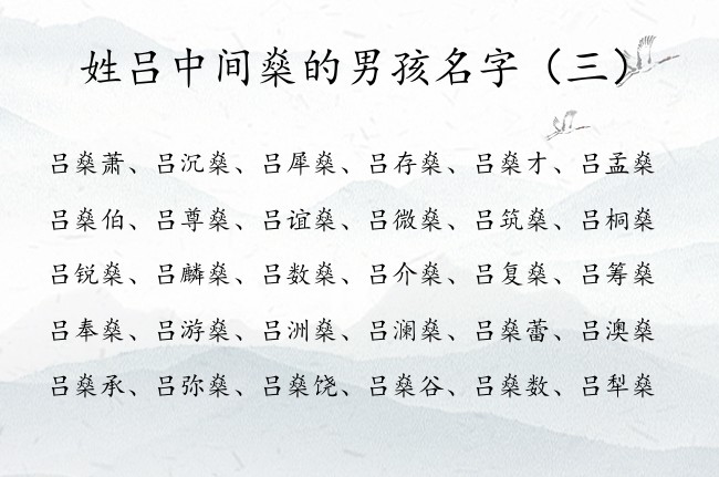 姓吕中间燊的男孩名字 2023兔年最仙男孩名字燊