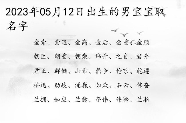 2023年05月12日出生的男宝宝取名字 双字起名男孩名字参考大全