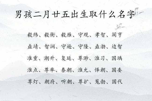 男孩二月廿五出生取什么名字 兔宝宝男孩名字带财富的名字