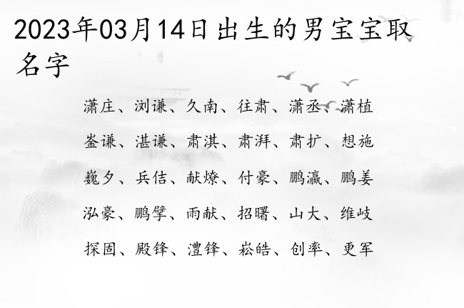 2023年03月14日出生的男宝宝取名字 有什么甜美气质的男孩名字推荐