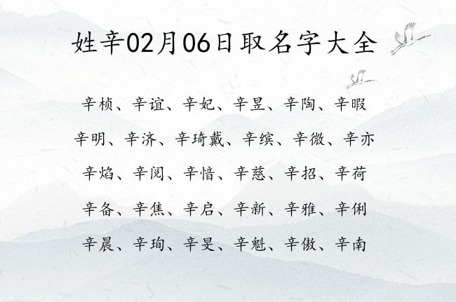 姓辛02月06日取名字大全 宝宝起名姓辛一字有什么好名字