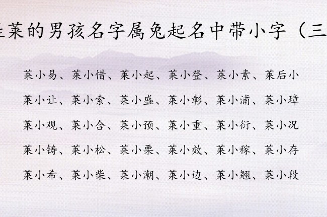 姓莱的男孩名字属兔起名中带小字 莱什么小的男孩名字