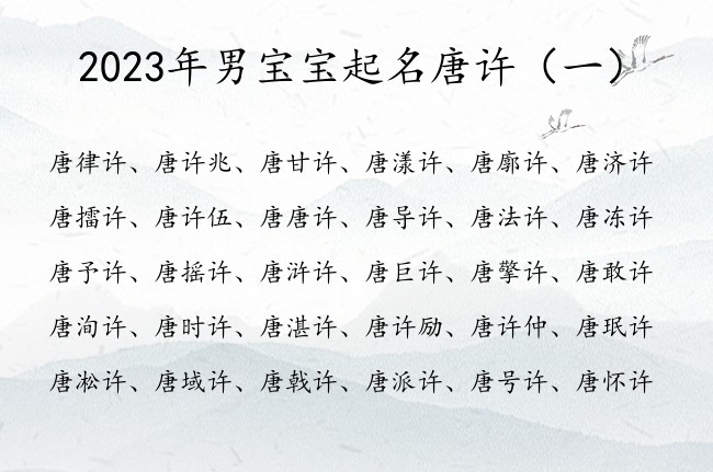 2023年男宝宝起名唐许 唐许后面加个字男孩名字