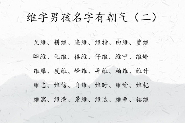 维字男孩名字有朝气 姓名带维男孩名字