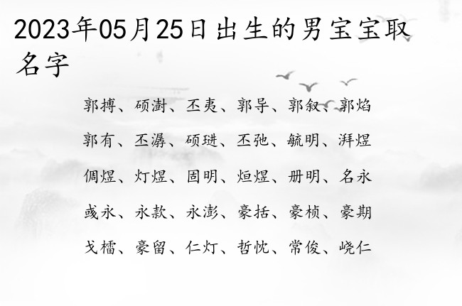 2023年05月25日出生的男宝宝取名字 寓意贵气优雅的男孩名字单字