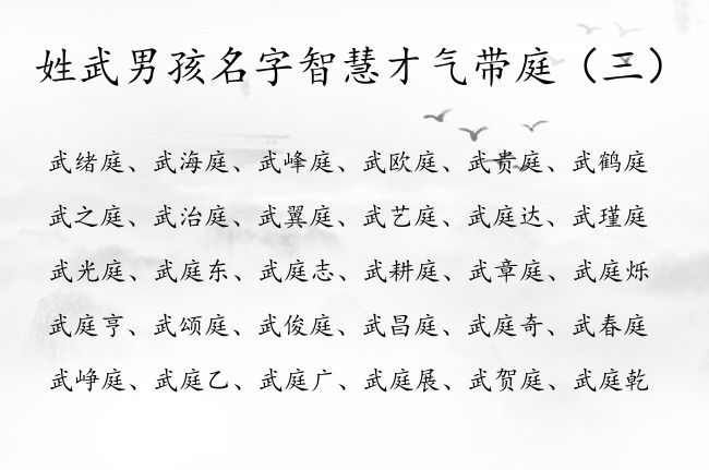 姓武男孩名字智慧才气带庭 100分带庭的男孩名字