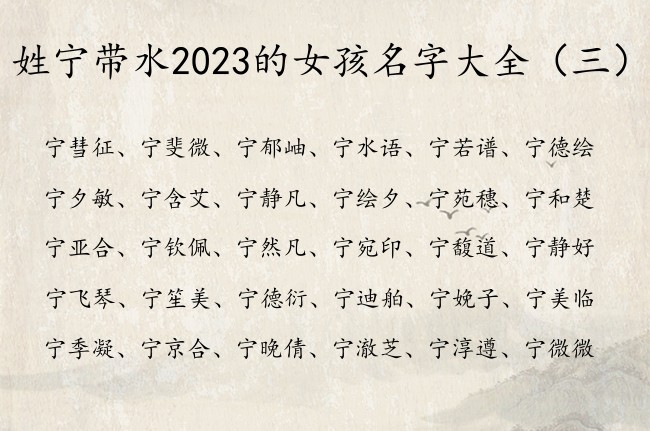 姓宁带水2023的女孩名字大全 姓宁有水的女孩名字