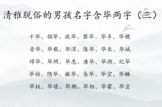 清雅脱俗的男孩名字含毕两字 带毕字的男孩名字两字的