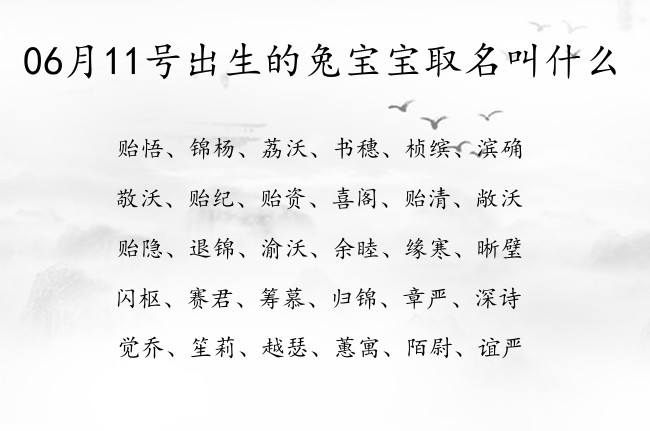 06月11号出生的兔宝宝取名叫什么 宝宝名字带有高贵典雅意义的