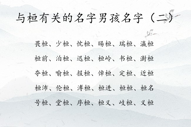 与桓有关的名字男孩名字 与桓搭配梦幻的男孩名字