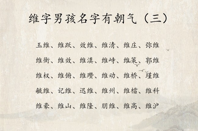 维字男孩名字有朝气 姓名带维男孩名字