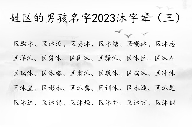 姓区的男孩名字2023沐字辈 男宝宝名字区沐什么