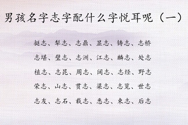 男孩名字志字配什么字悦耳呢 与志字相关的男孩名字