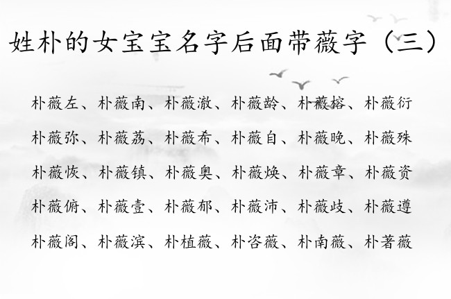 姓朴的女宝宝名字后面带薇字 朴薇起名字大全女孩名字