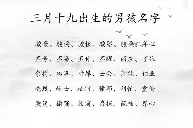 三月十九出生的男孩名字 寓意好听清纯优雅的男孩名字兔宝