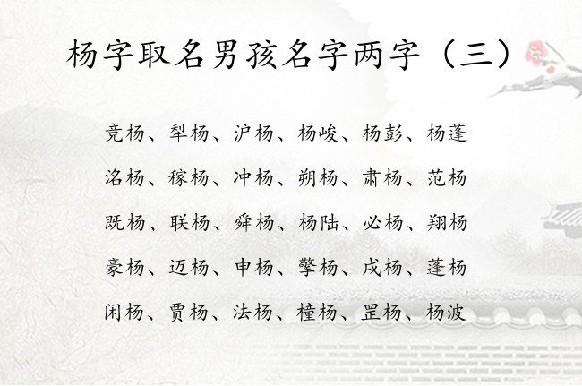 杨字取名男孩名字两字 两字后面带杨的男孩名字大全