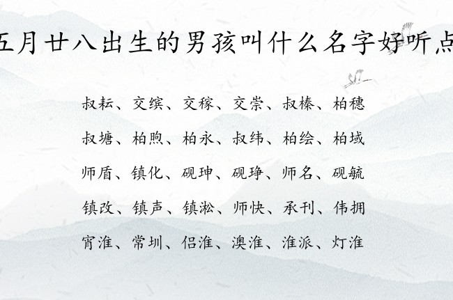 五月廿八出生的男孩叫什么名字好听点 男孩名字可爱点的汉字兔宝宝