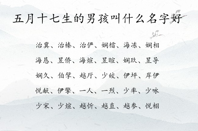 五月十七生的男孩叫什么名字好 最潮男孩名字大全免费生肖兔