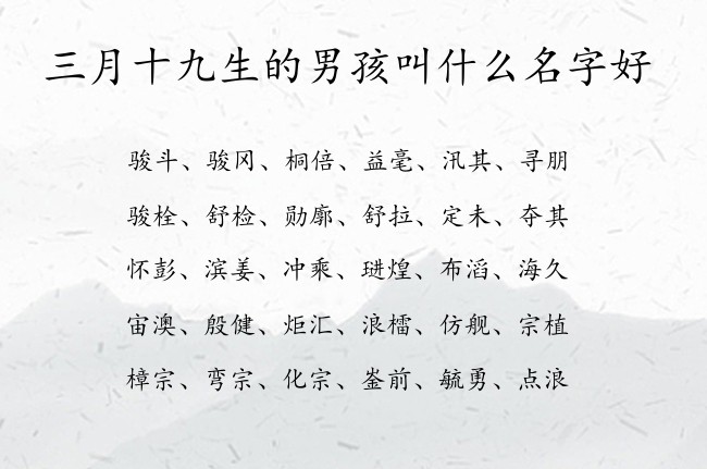 三月十九生的男孩叫什么名字好 寓意阳光正气大气的男孩名字兔宝