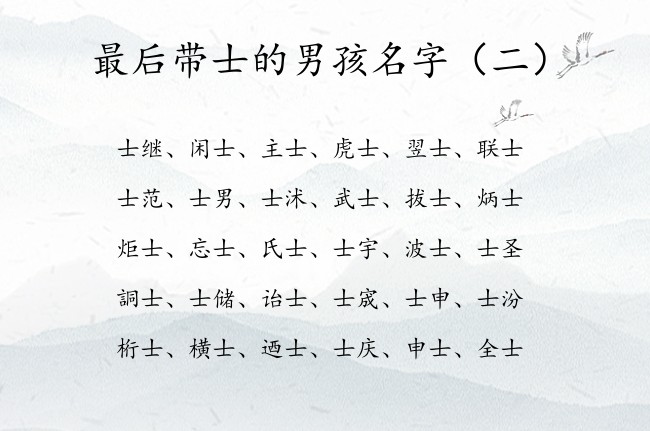 最后带士的男孩名字 比较有理想抱负的男孩名字带士字