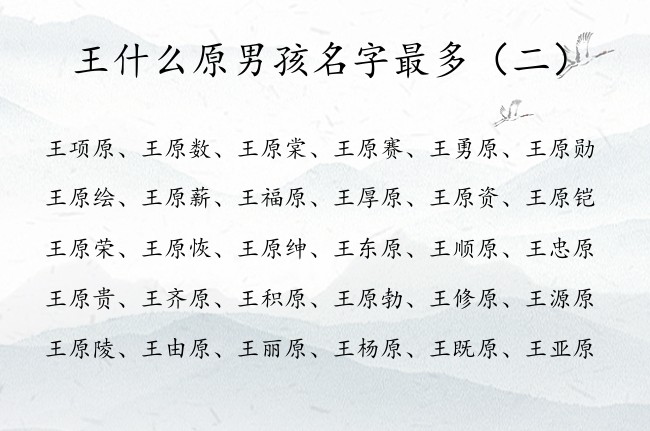 王什么原男孩名字最多 属兔王姓男孩名字大全带原字