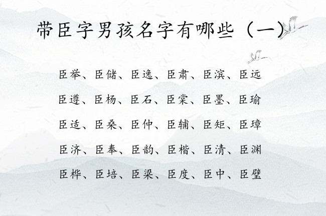 带臣字男孩名字有哪些 与臣结合文雅的男孩名字