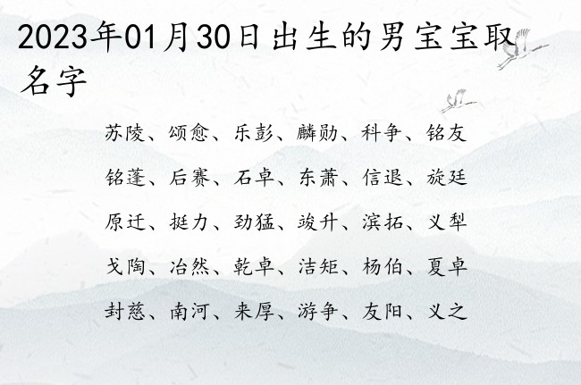 2023年01月30日出生的男宝宝取名字 比较好听清纯优雅的男孩名字