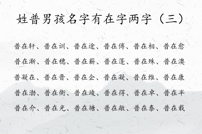 姓普男孩名字有在字两字 普在后面起个男孩名字