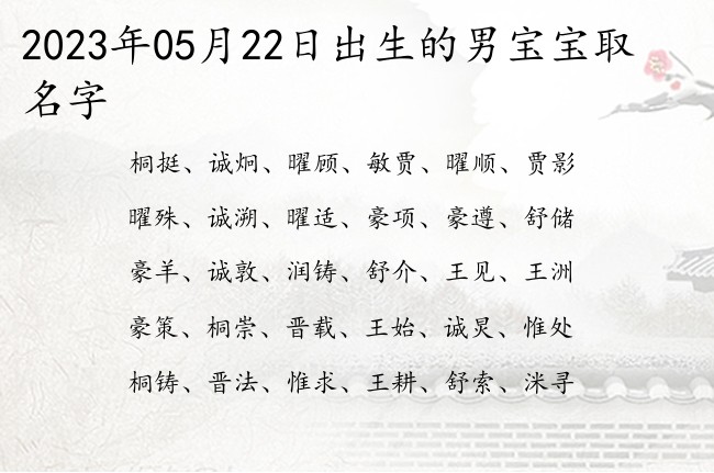 2023年05月22日出生的男宝宝取名字 05月出生的男宝宝名字大全