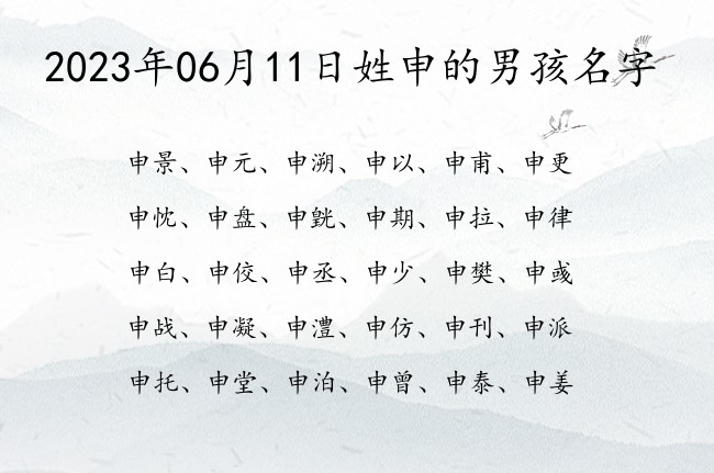 2023年06月11日姓申的男孩名字 申姓男孩名字双字时尚潮流