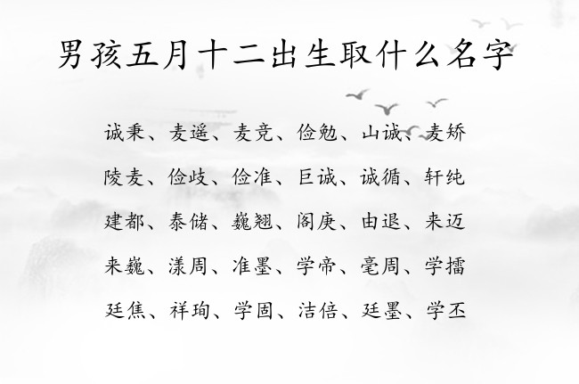 男孩五月十二出生取什么名字 寓意洋气独特时尚的男孩名字兔宝