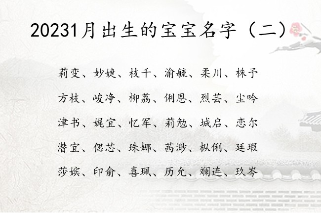 20231月出生的宝宝名字 柔和的兔宝宝名字大全