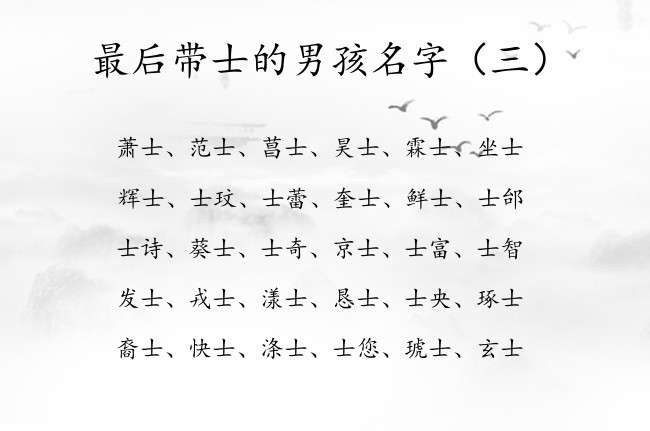 最后带士的男孩名字 比较有理想抱负的男孩名字带士字