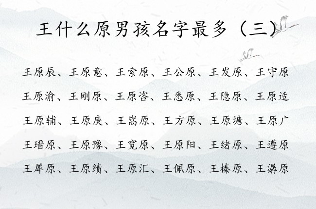 王什么原男孩名字最多 属兔王姓男孩名字大全带原字