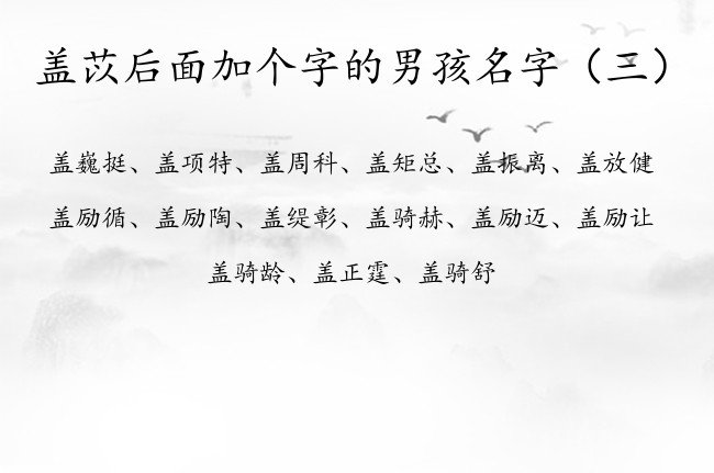 盖苡后面加个字的男孩名字 姓盖的男孩名字带有苡字