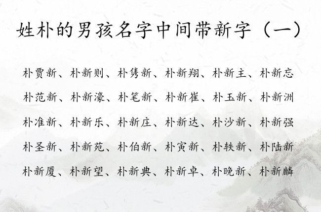 姓朴的男孩名字中间带新字 带新字男孩名字大全风雅