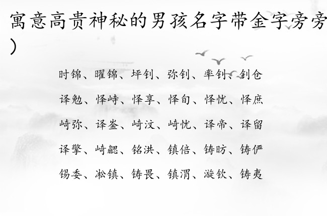 寓意高贵神秘的男孩名字带金字旁旁 男宝宝名字金字旁