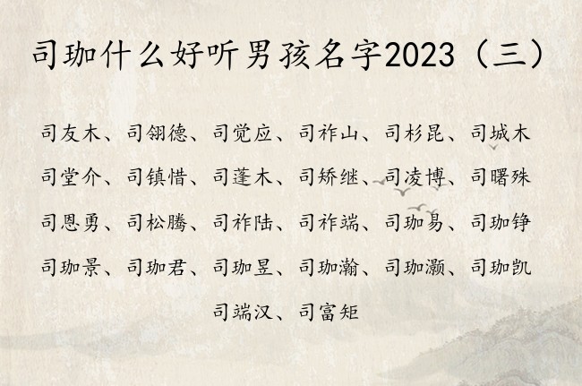 司珈什么好听男孩名字2023 带珈字的男孩名字高分