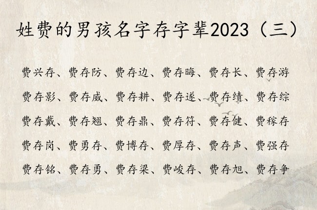 姓费的男孩名字存字辈2023 存字取名寓意男孩名字