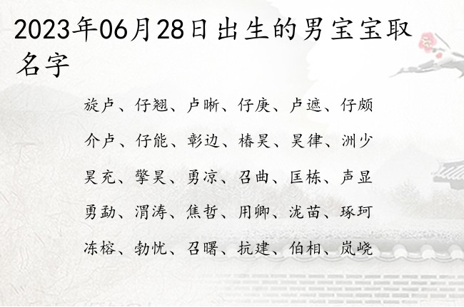 2023年06月28日出生的男宝宝取名字 适合男孩名字的寓意很顺名字