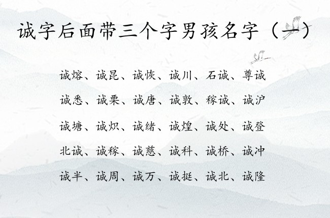 诚字后面带三个字男孩名字 带诚的来起个男孩名字