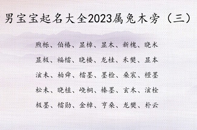 男宝宝起名大全2023属兔木旁 宝宝起名木旁男宝