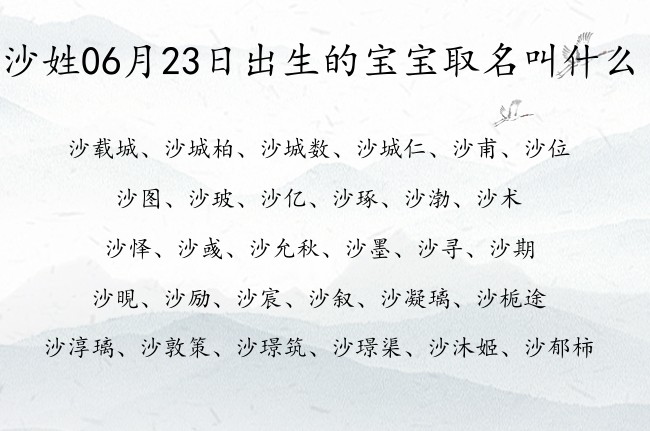 沙姓06月23日出生的宝宝取名叫什么 爸爸姓沙宝宝名字大全有寓意