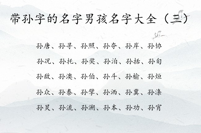 带孙字的名字男孩名字大全 与孙字搭配的最甜男孩名字