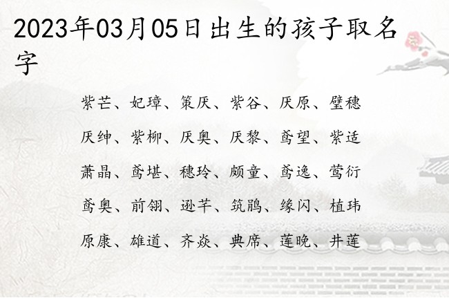 2023年03月05日出生的孩子取名字 寓意简单容易记住的宝宝名字