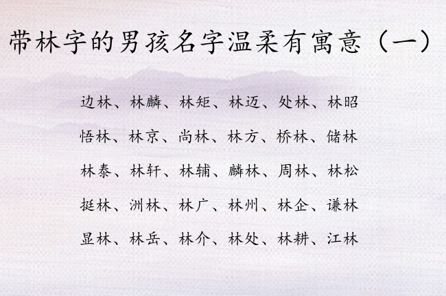 带林字的男孩名字温柔有寓意 带林的小男孩名字