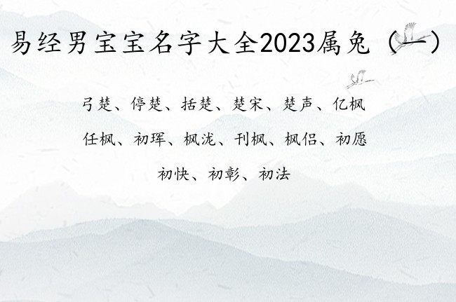 易经男宝宝名字大全2023属兔 易经的男孩名字