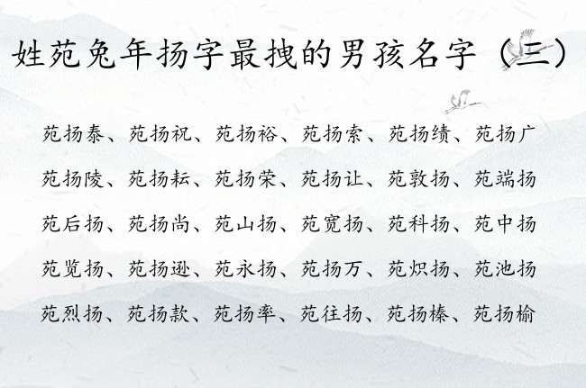 姓苑兔年扬字最拽的男孩名字 扬字跟什么组合男孩名字